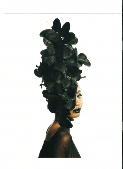 Inspirational Photo Card-Black Butterfly Mask (biz card size)